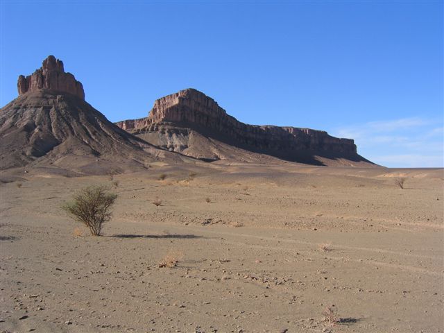 woestijn wandelen met kamelen foum zguid